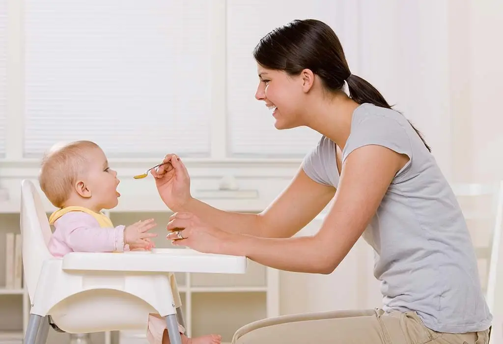 Portable High Chair