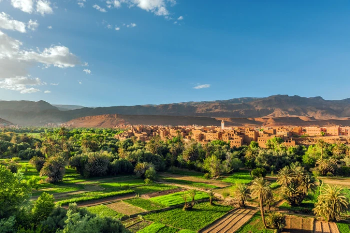 Morocco: Springtime Oasis and Cultural Mosaic