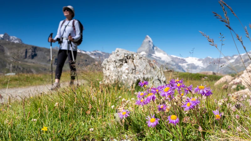 Blossoming Beauty Spring Hiking Essentials
