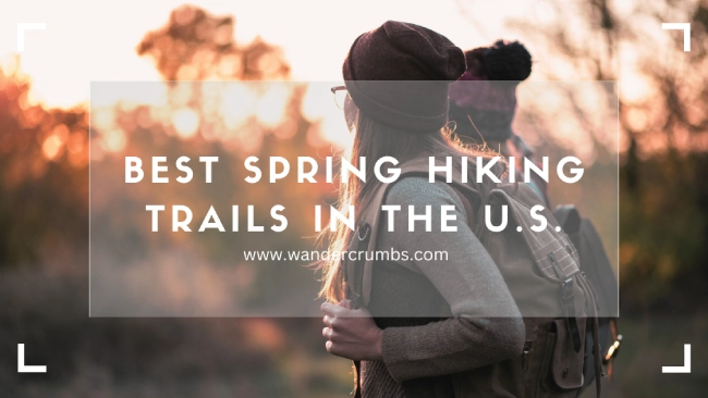Explore the Top Spring Hiking Trails in the U.S.