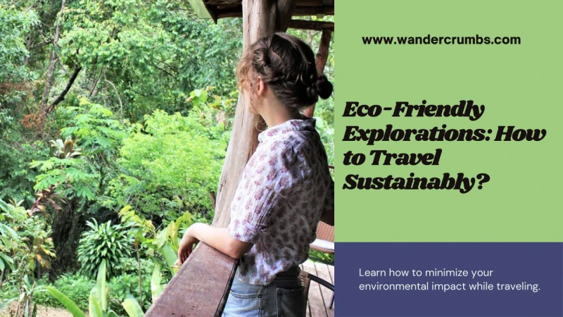 Eco-Friendly Explorations: How to Travel Sustainably?