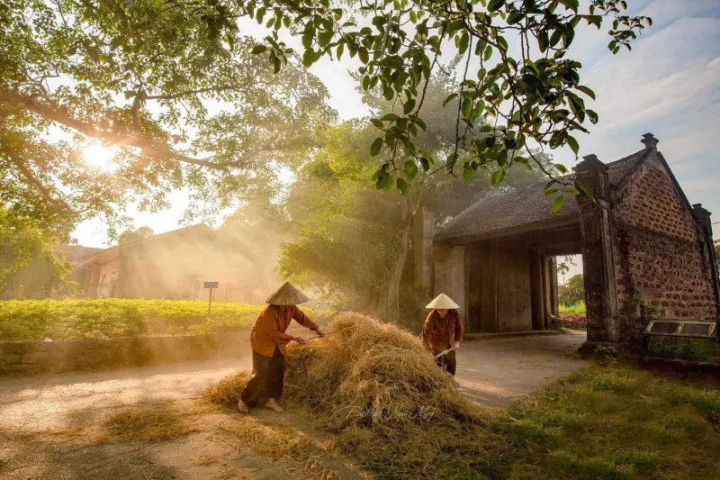 Duong Lam Ancient Village 