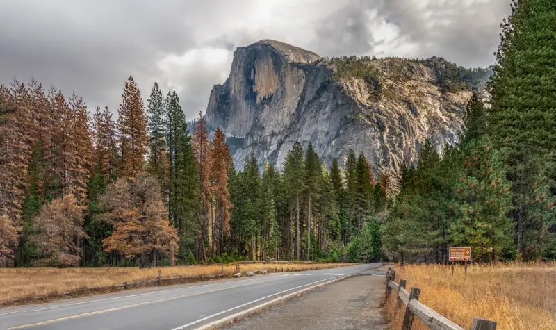 Yosemite national park