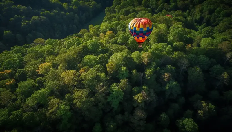 Best Views from Paragliding and Hang Gliding Courses