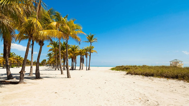 Crandon Park: A Tranquil Escape 