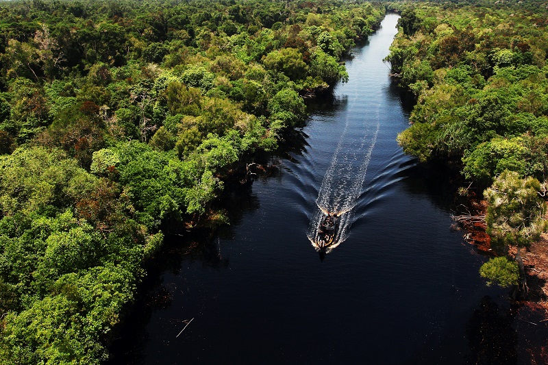 Everglades Excursions